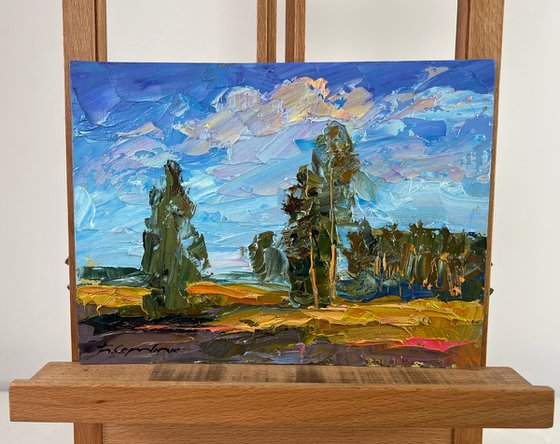 A Day Filled with Sunshine