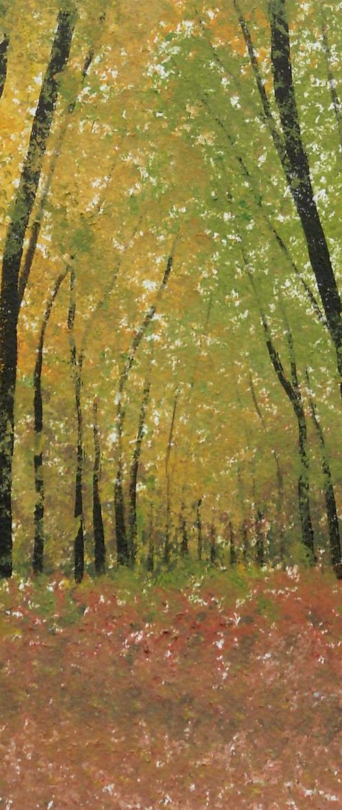 Waggoners Wells, Autumn. by Jan Rippingham