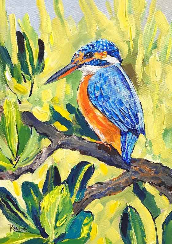 Kingfisher