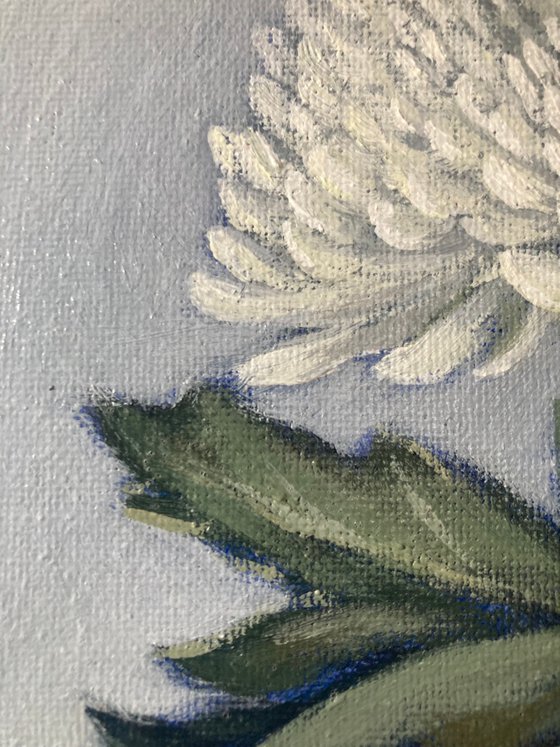 Quiet Bloom