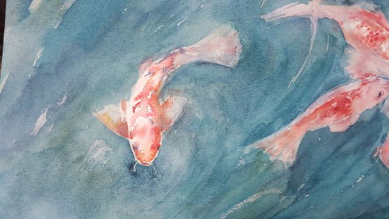KOI FISH IN POND oryginał watercolor 40x30