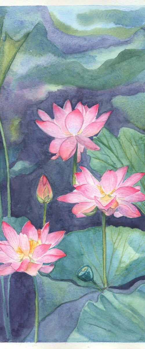 Pink Lotus Flowers by Shweta Mahajan