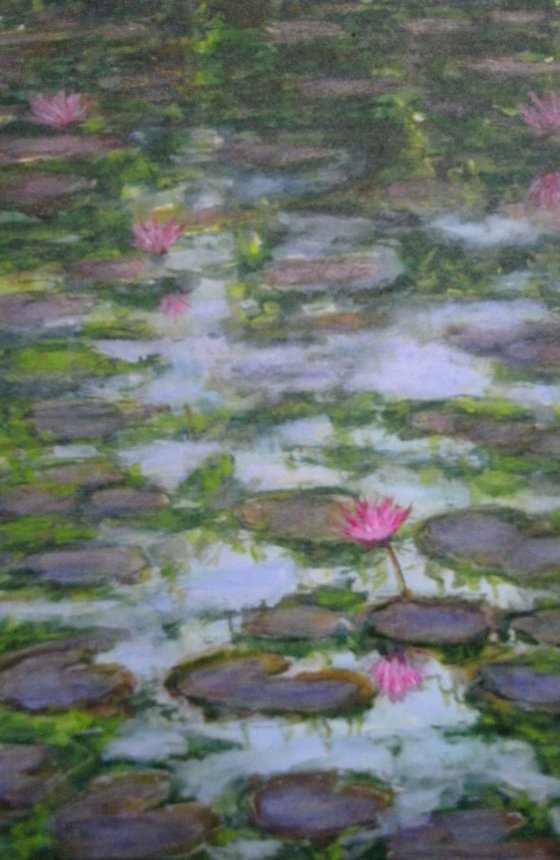 Water Lilies