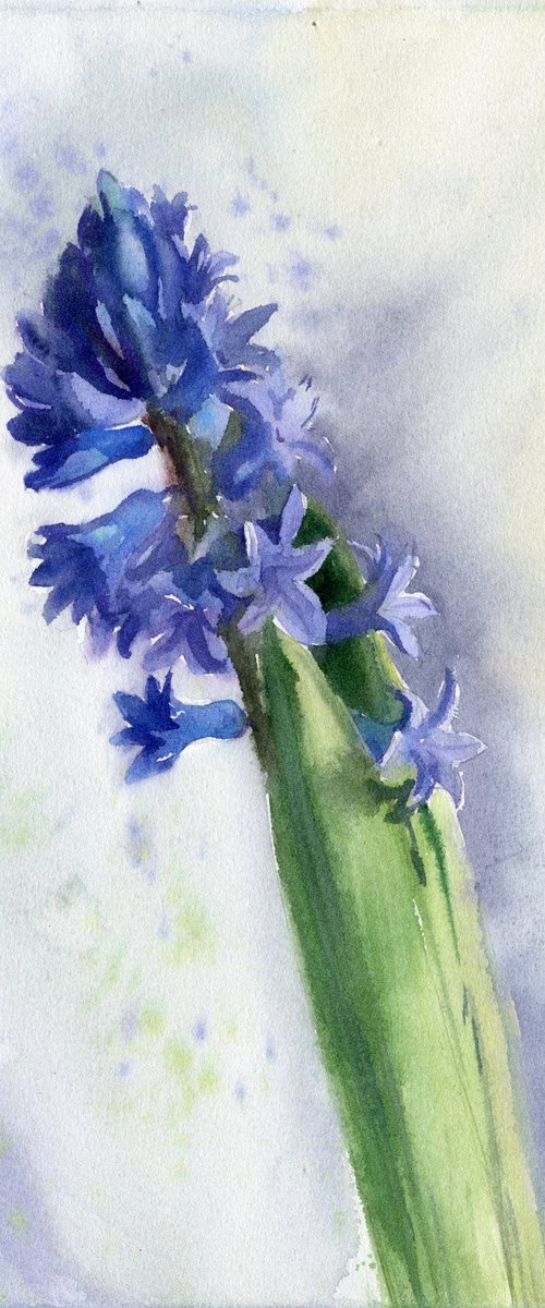 Blue Hyacinth by SVITLANA LAGUTINA