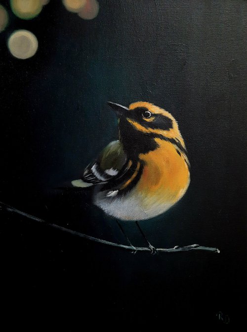 Sparrow by Renate Dohr