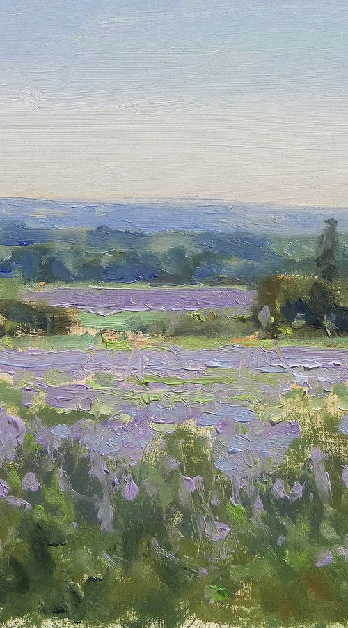 Lavender Field near Sisteron by Pascal Giroud
