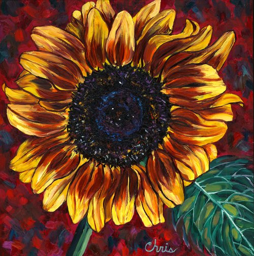 Burnished Sunflower on Red by Christina M Plichta