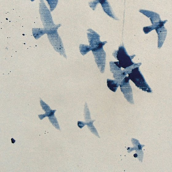 Cyanotype_03_A3_Birds