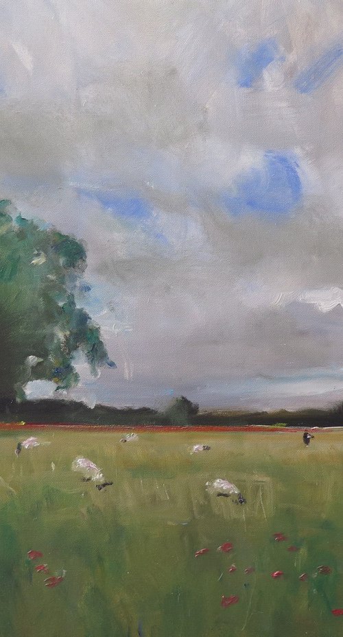 Tilmire Common, York by Malcolm Ludvigsen