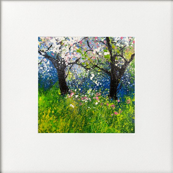 Orchard Series - falling blossom