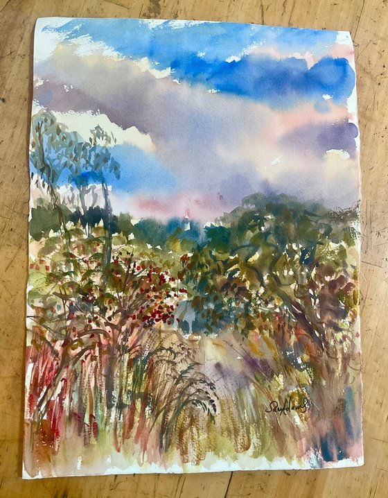 Early Autumn at Duncliffe wood
