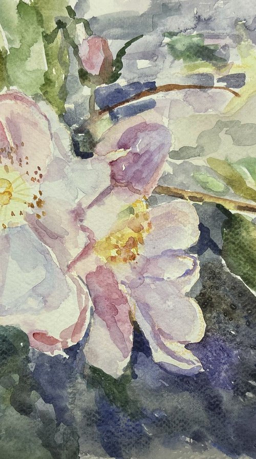 Aquarelle petals by Elena Lykhodid