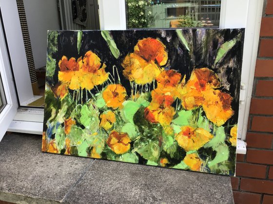 Nasturtiums