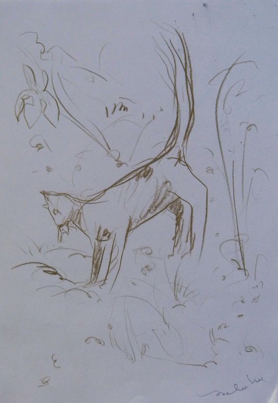 Three sketches - Cats and Birds, 21x29 cm - affordable & AF exclusive !