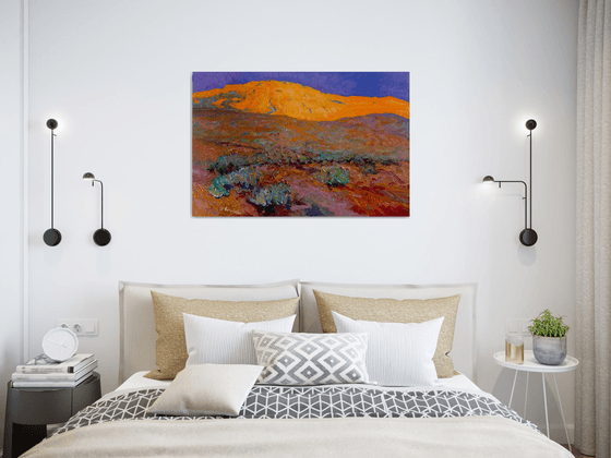 Sunset in the Desert. Arizona