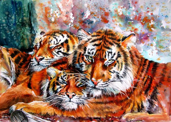 Resting tigers