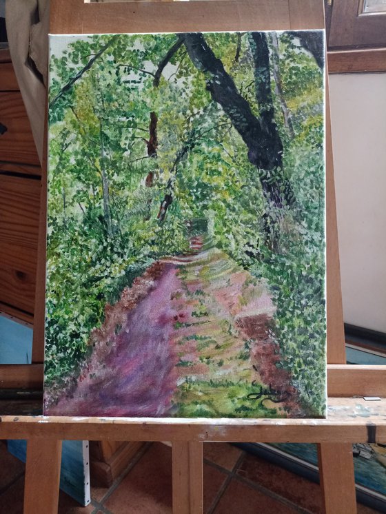 Path in the forest