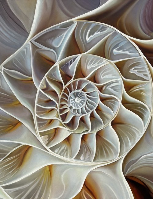 NAUTILUS POMPILIUS (VI) by IrinaGoldenfish