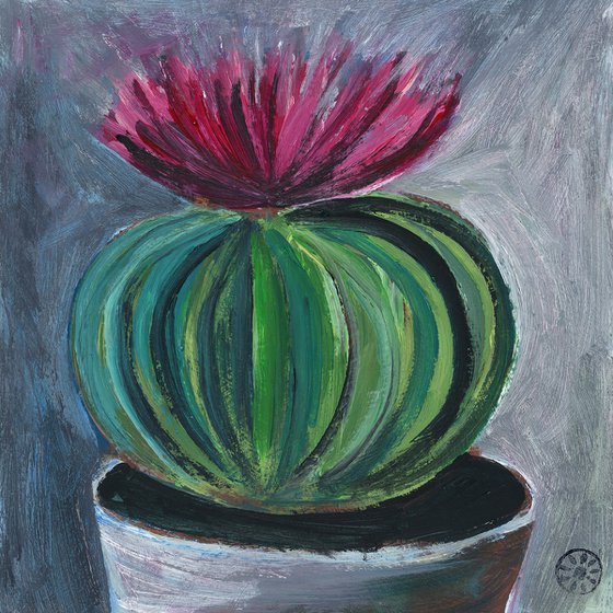 Blossoming Cactus