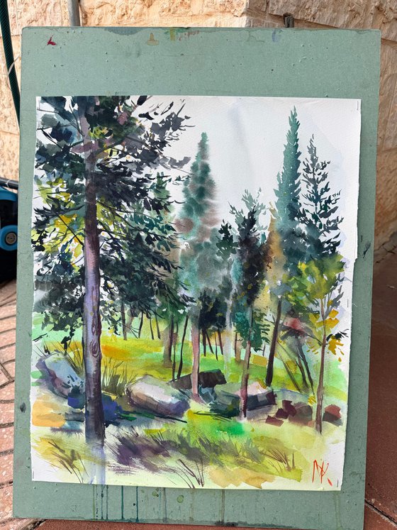 Morning in the Woods