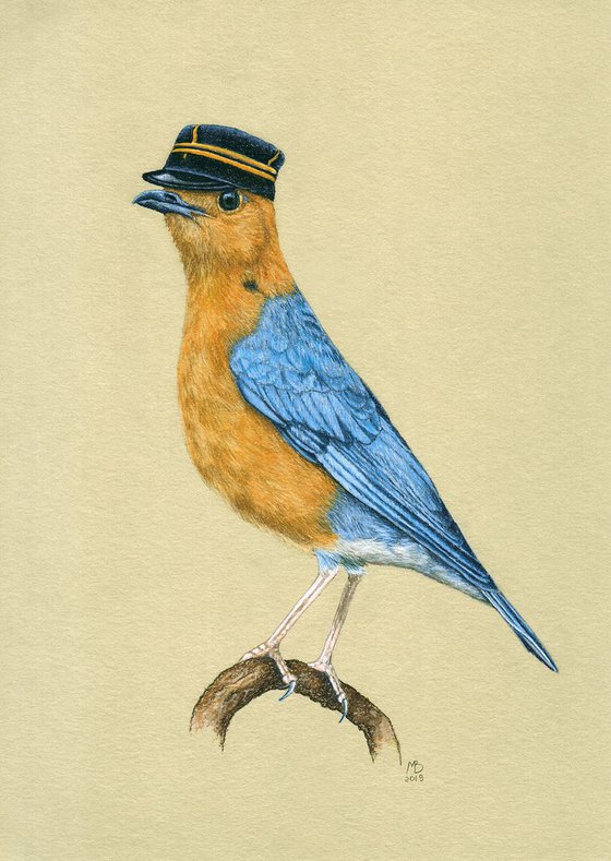 Original pastel drawing bird "Monsieur thrush"