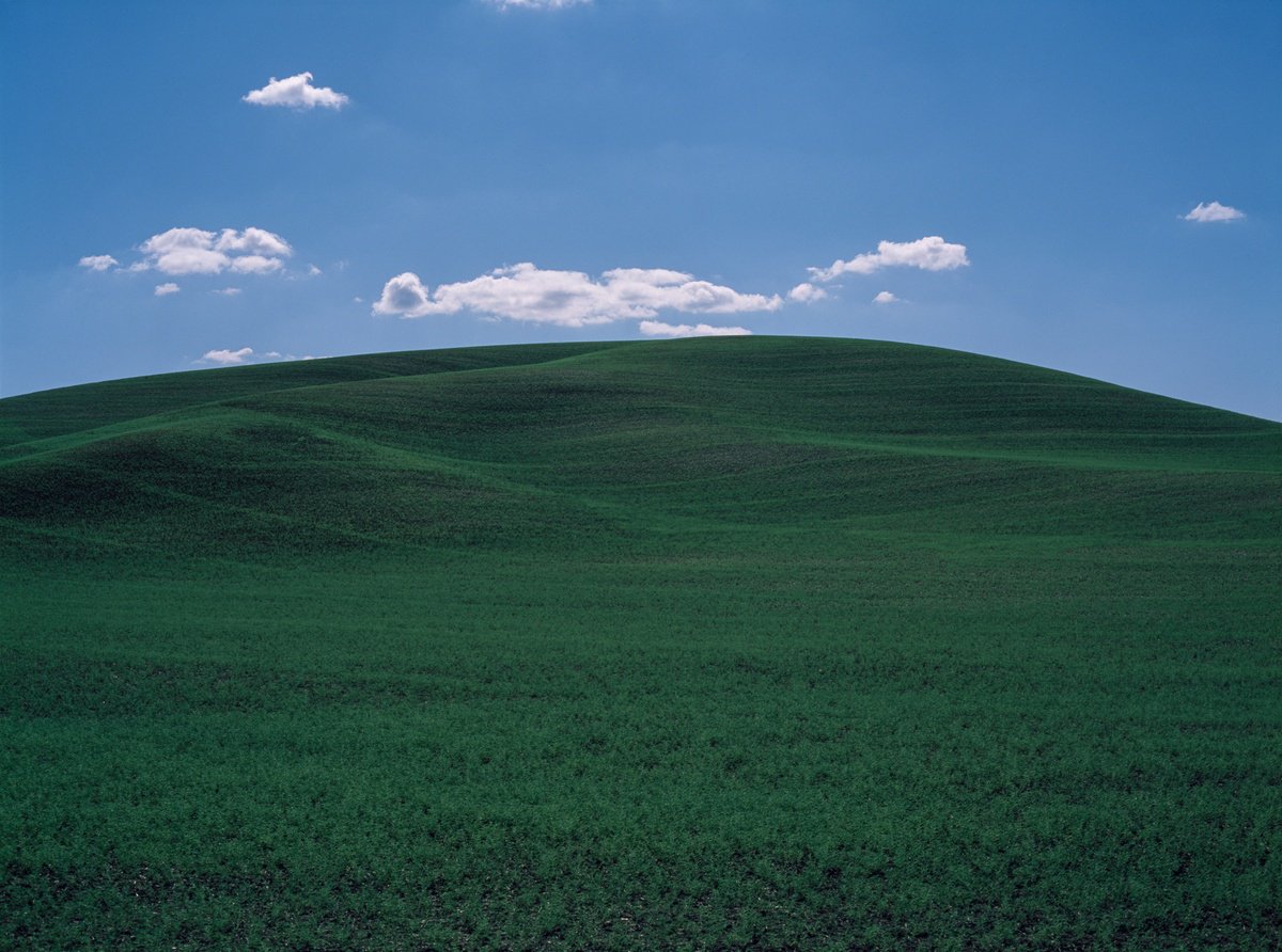 Field #17 by James Cooper Images