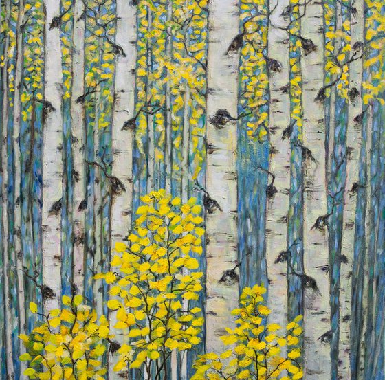 Colorado Aspens