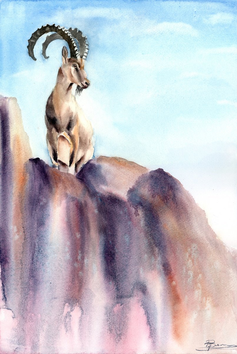 Illustrative Animal Watercolour By Olga Tchefranov (Shefranov), 12 X 18", Ibex On The Heights, Original Artwork