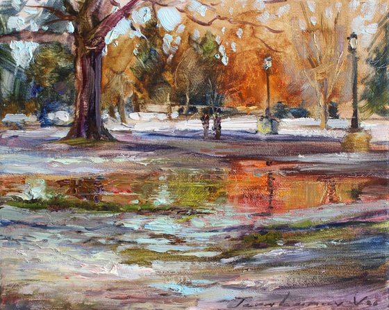 Thawed patch in the park