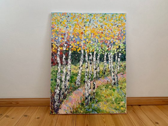 Birch path in summer