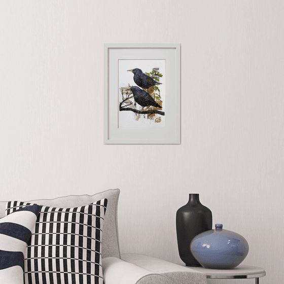Starlings -  Framed ready to hang original artwork