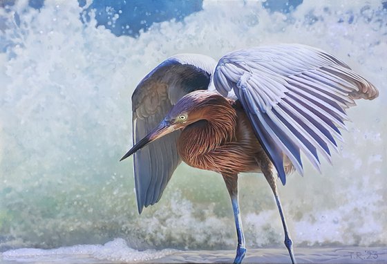 A GREAT GREY HERON