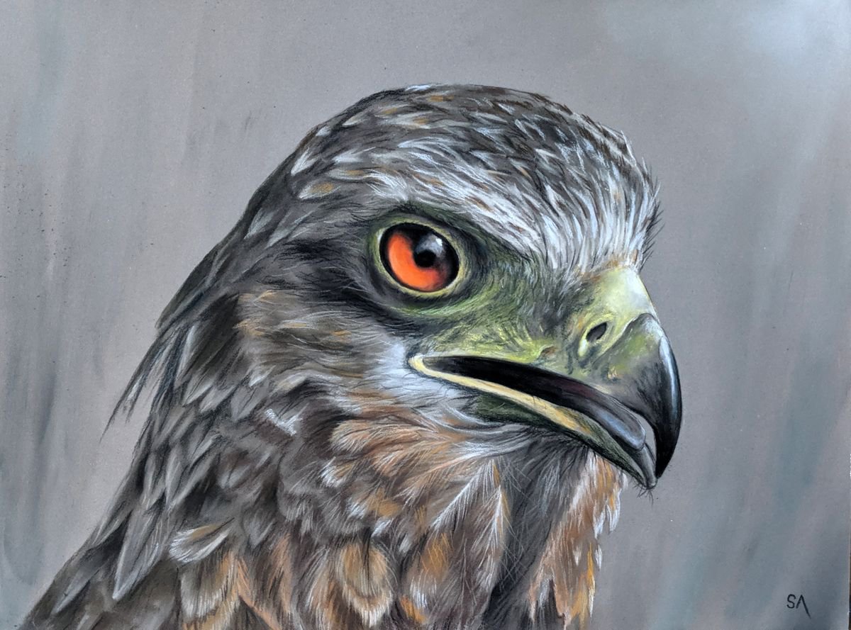 Eagle Eye II by Sean Afford