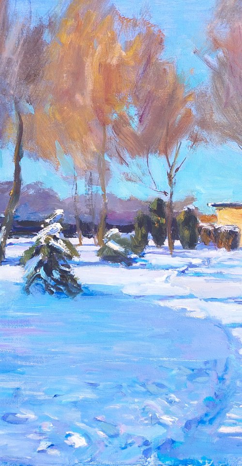 Winter sun day by Olga Samar