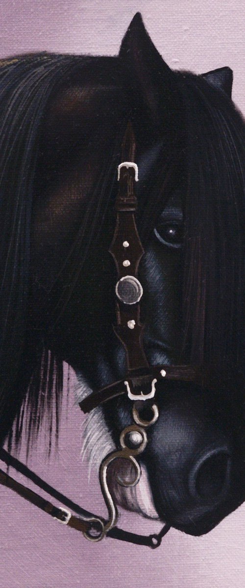 Horse Portrait 104 by Anastasia Parfilo