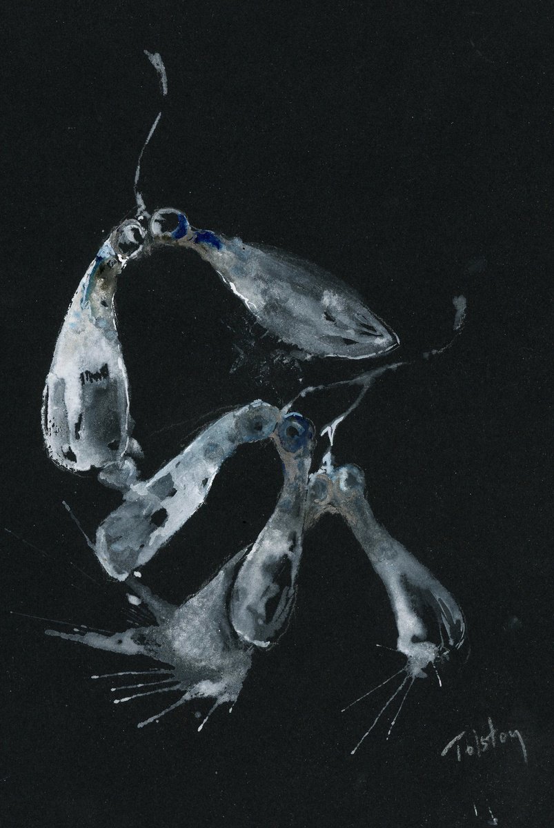 Impressionistic Botanical Watercolour By Alex Tolstoy, 8 X 12, Maple Seeds On Black, Original Artwork