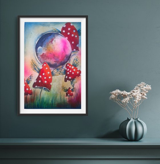 Where Mushrooms Dream