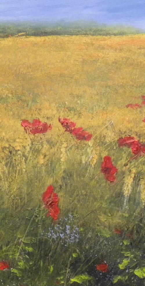 Poppies  and Corn by Colin Buckham