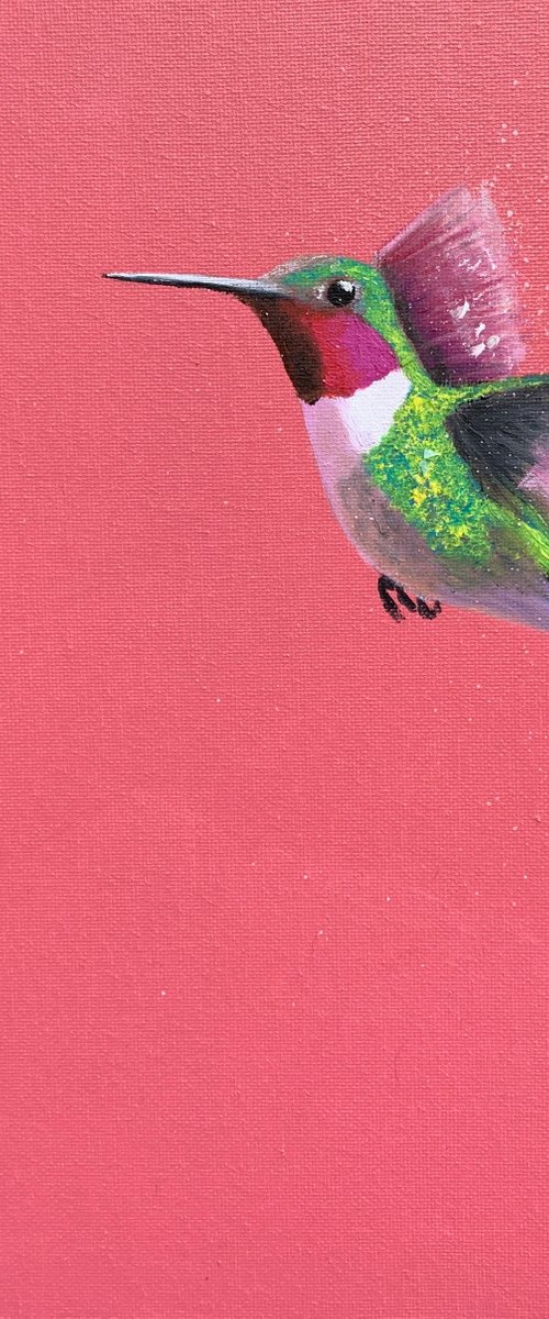 Anna's Hummingbird by Laure Bury