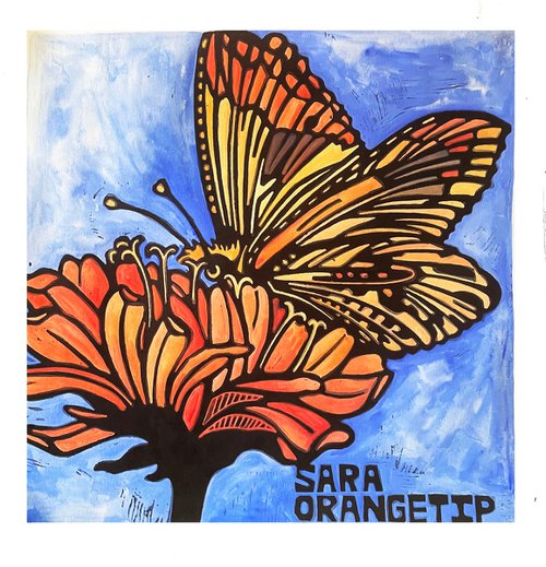 Sara Orangetip by Laurel Macdonald