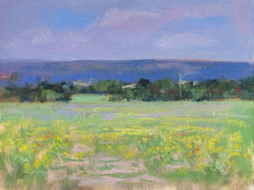 Meadow in the Luberon by Pascal Giroud