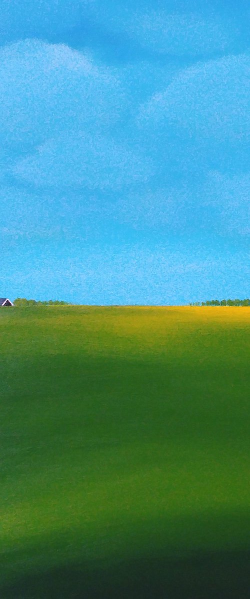 Blue roofs, golden daffodils by Nelly van Nieuwenhuijzen