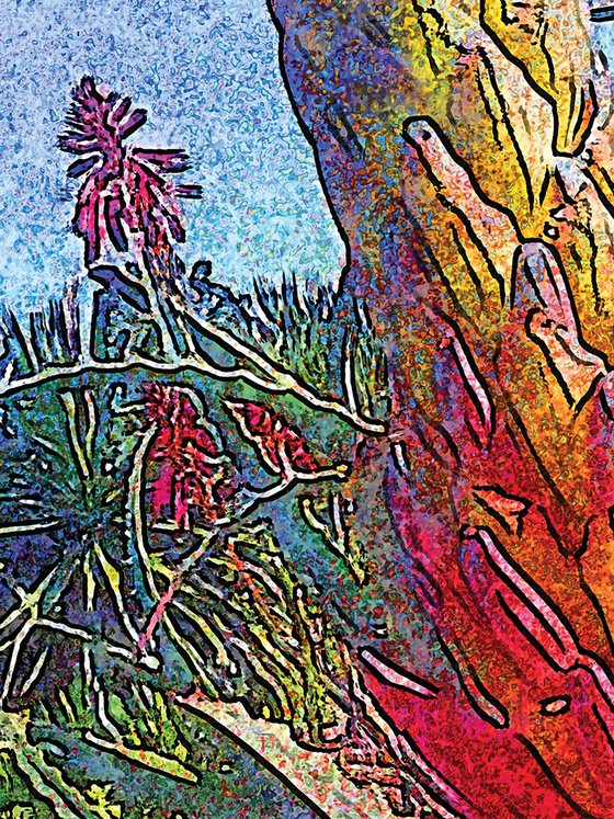 Sabila en flor 2