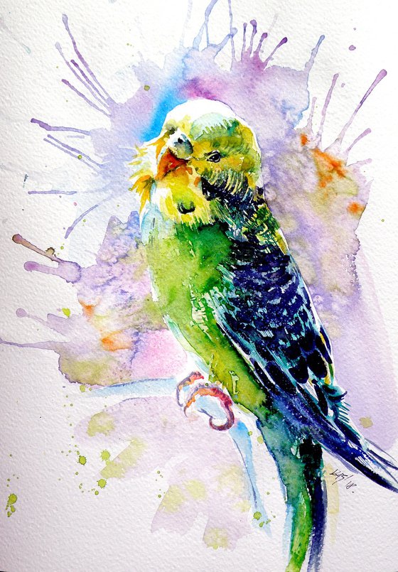 Lovely parrot