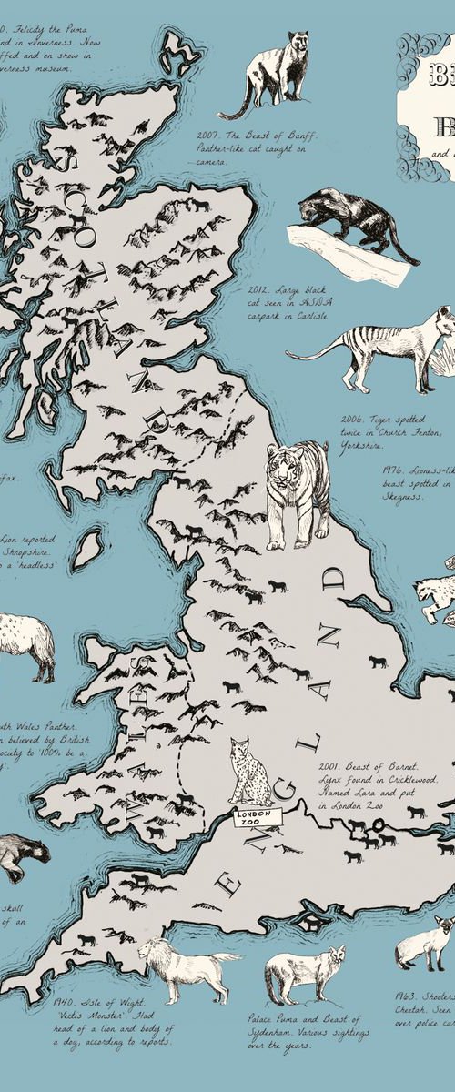 Big Cats of Britain by Anna Walsh