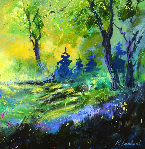 Spring in the wood 76