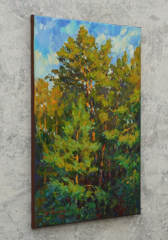 Pine forest