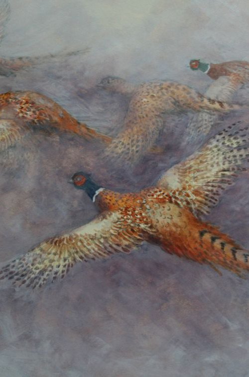 Flight of the Pheasants by Christopher Hughes