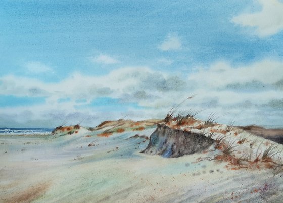 Sand Dunes and Beach