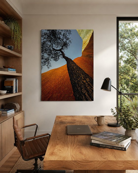 Uluru Jarrah